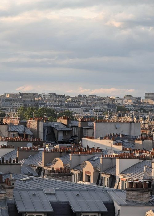 Vue sur les toits de Paris et les immeubles haussmanniens en journée.